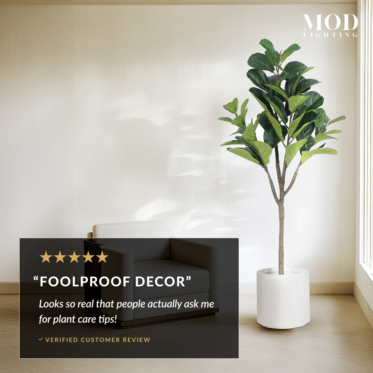 Fiddle Leaf Fig in a white pot by a dark sofa, with a five-star Foolproof Decor verified customer review card