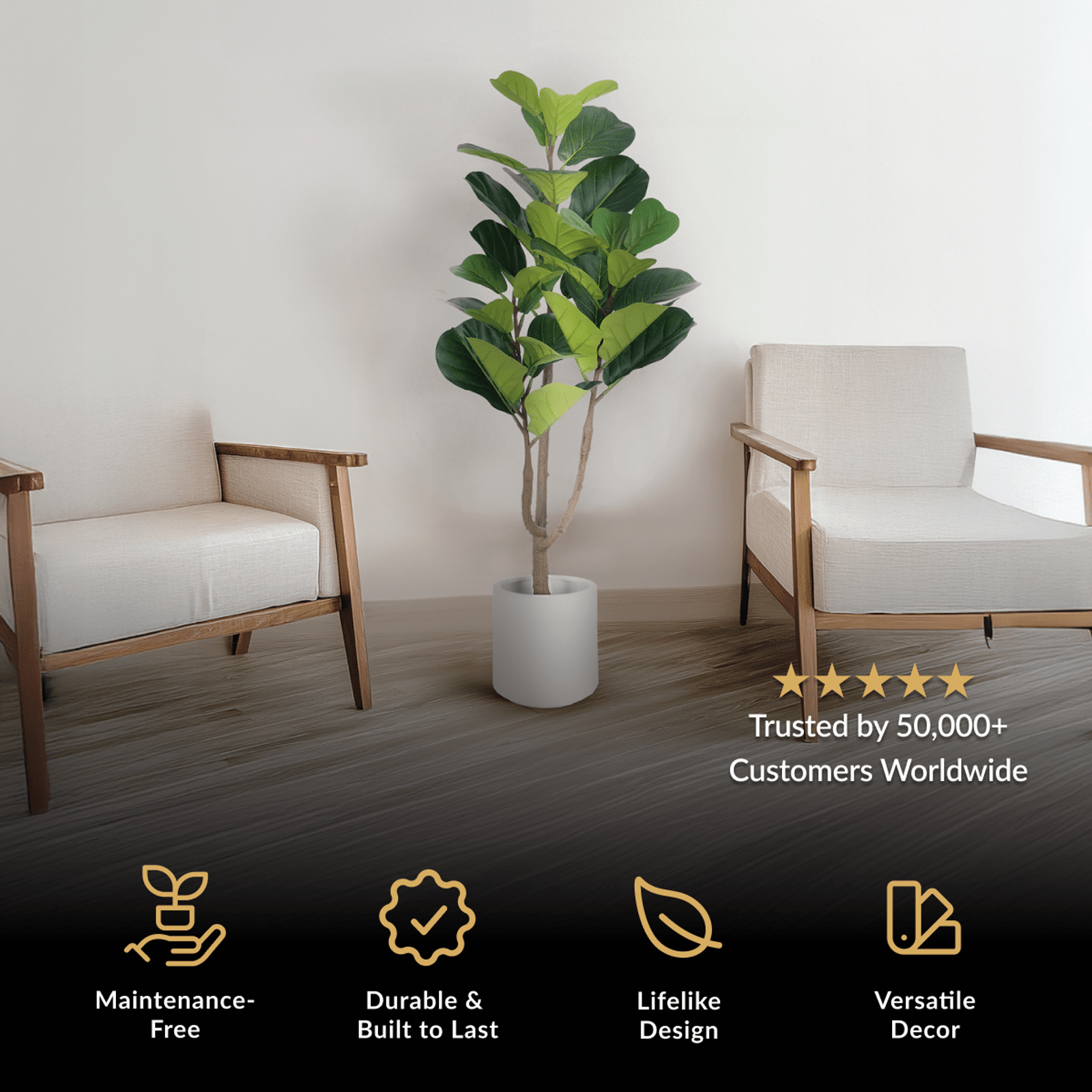 Fiddle Leaf Fig, tall artificial plant with broad glossy leaves in a white pot between two chairs