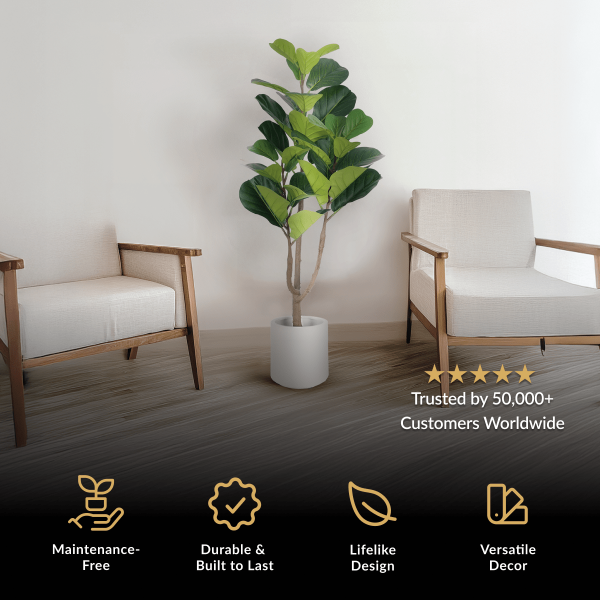 Fiddle Leaf Fig, tall artificial plant with broad glossy leaves in a white pot between two chairs
