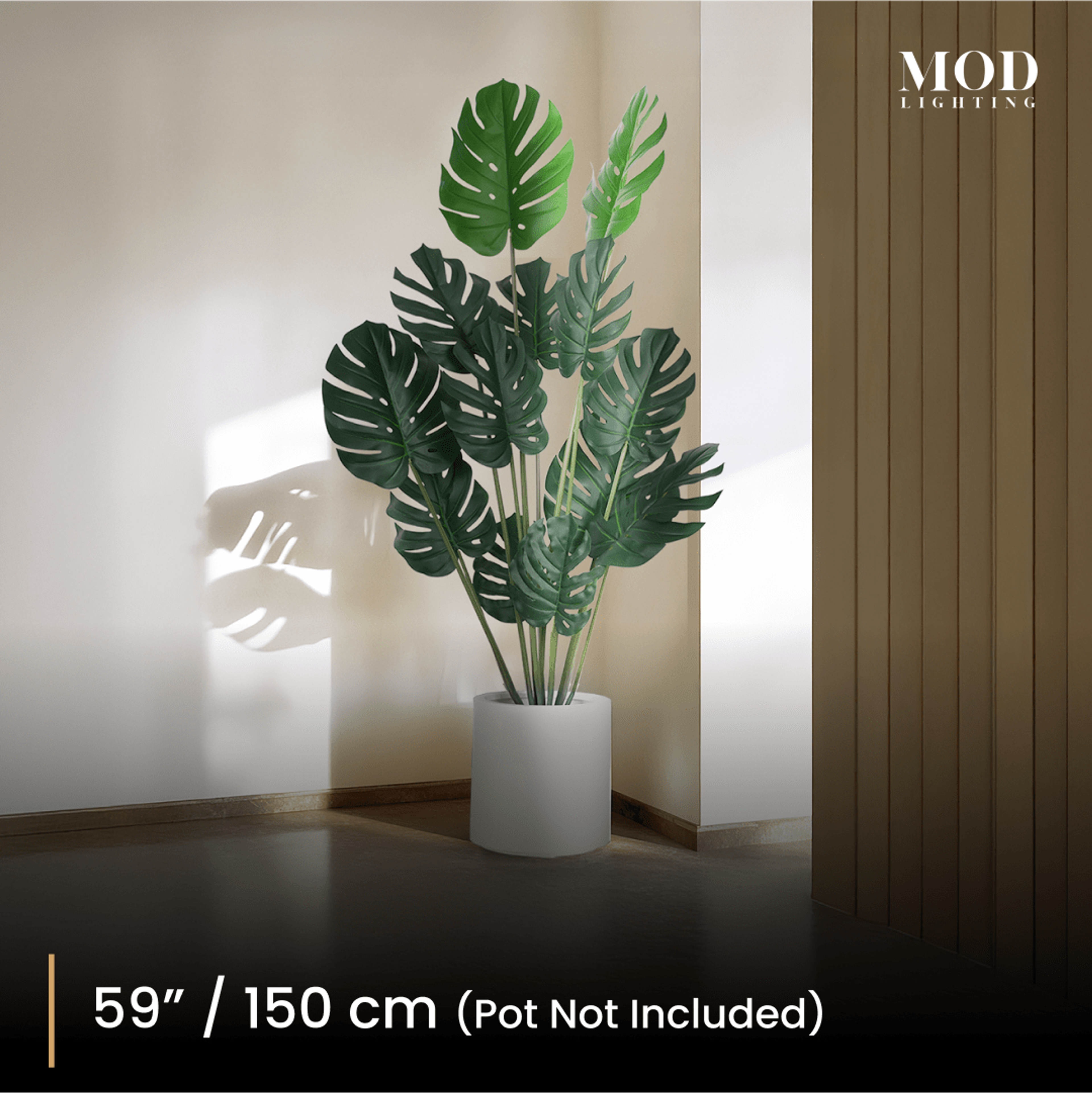 150 cm