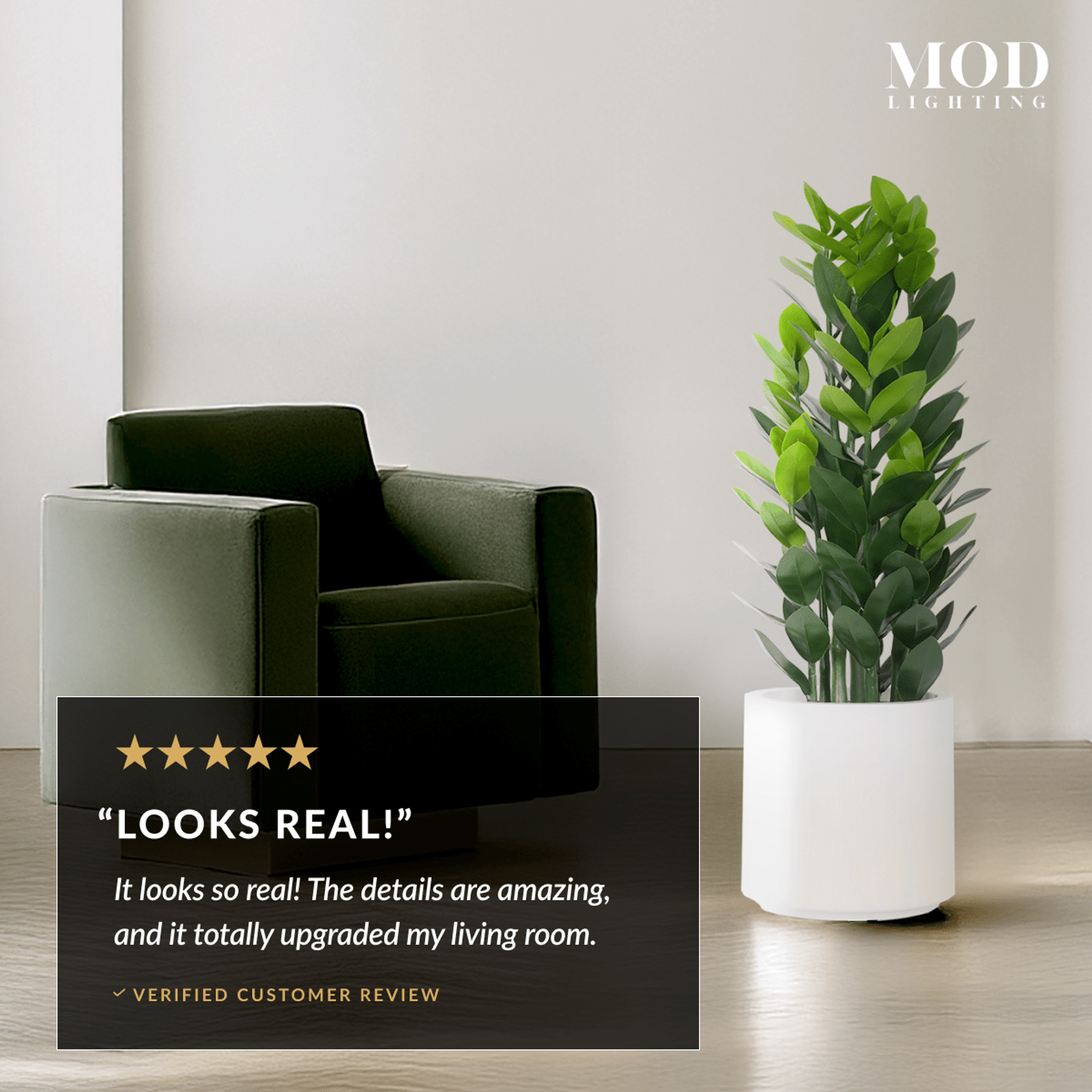 ZZ Plant in a white pot next to a green armchair, with a five-star Looks Real verified customer review card