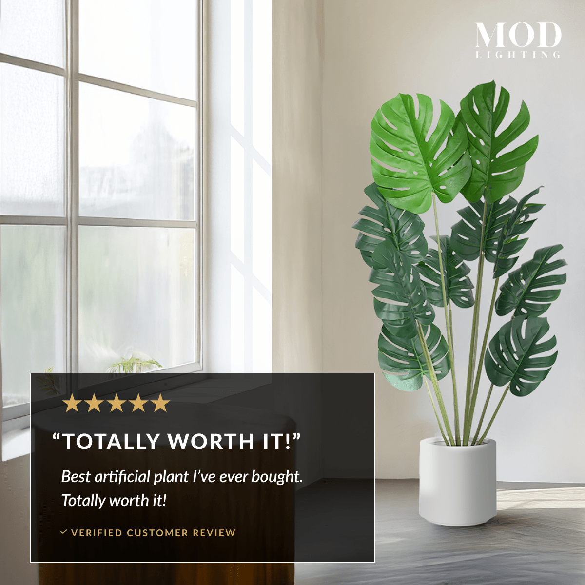 Monstera in a white pot by a bright window, with a five-star Totally Worth It verified customer review card