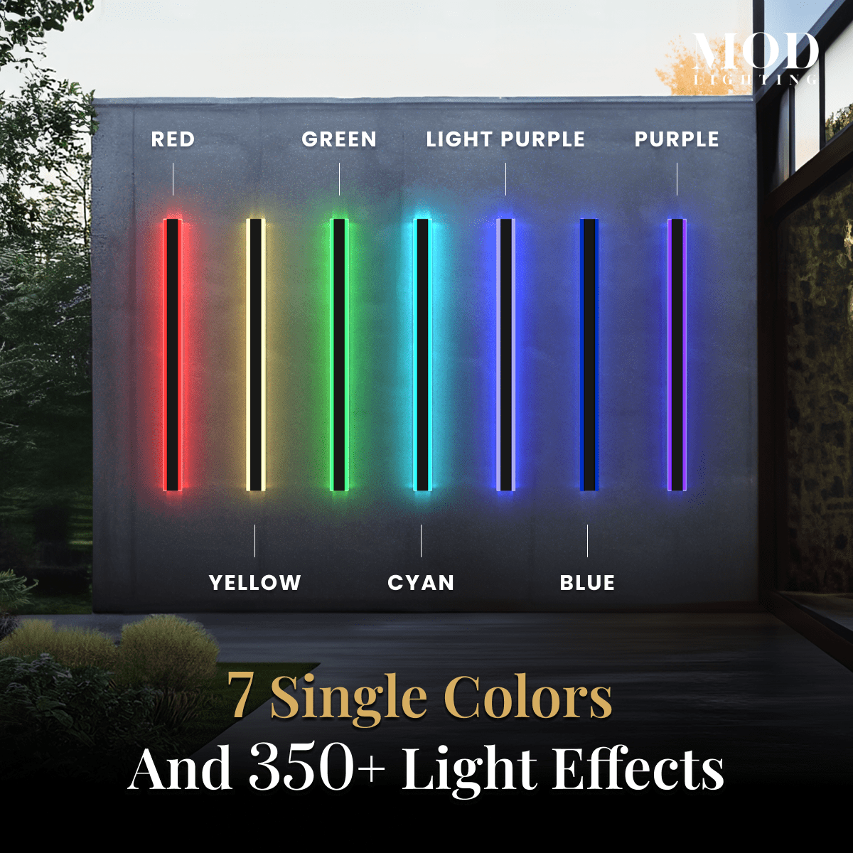 haylen-rgb-main-3
