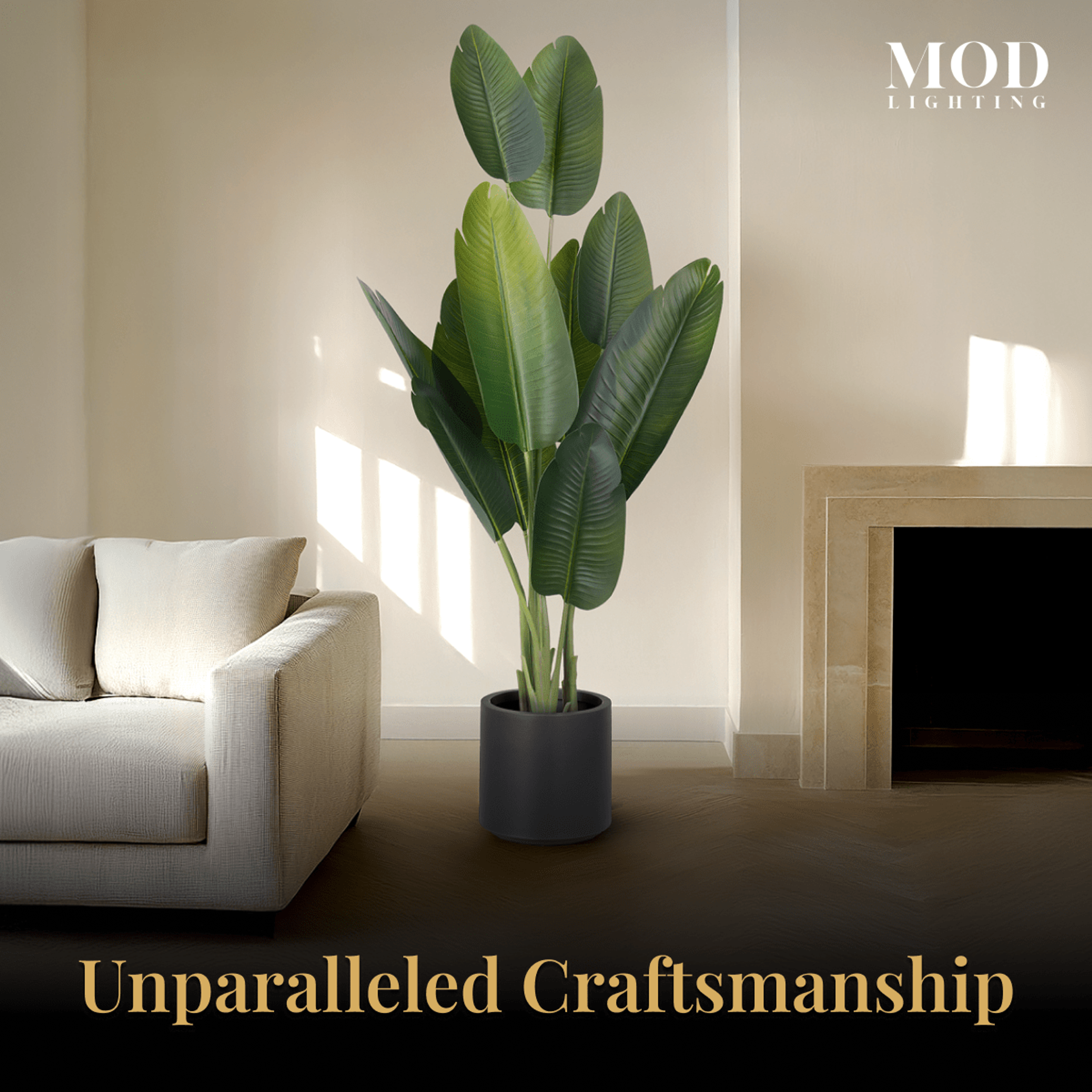 Bird of Paradise in a black pot beside a white sofa and fireplace in a sunlit living room