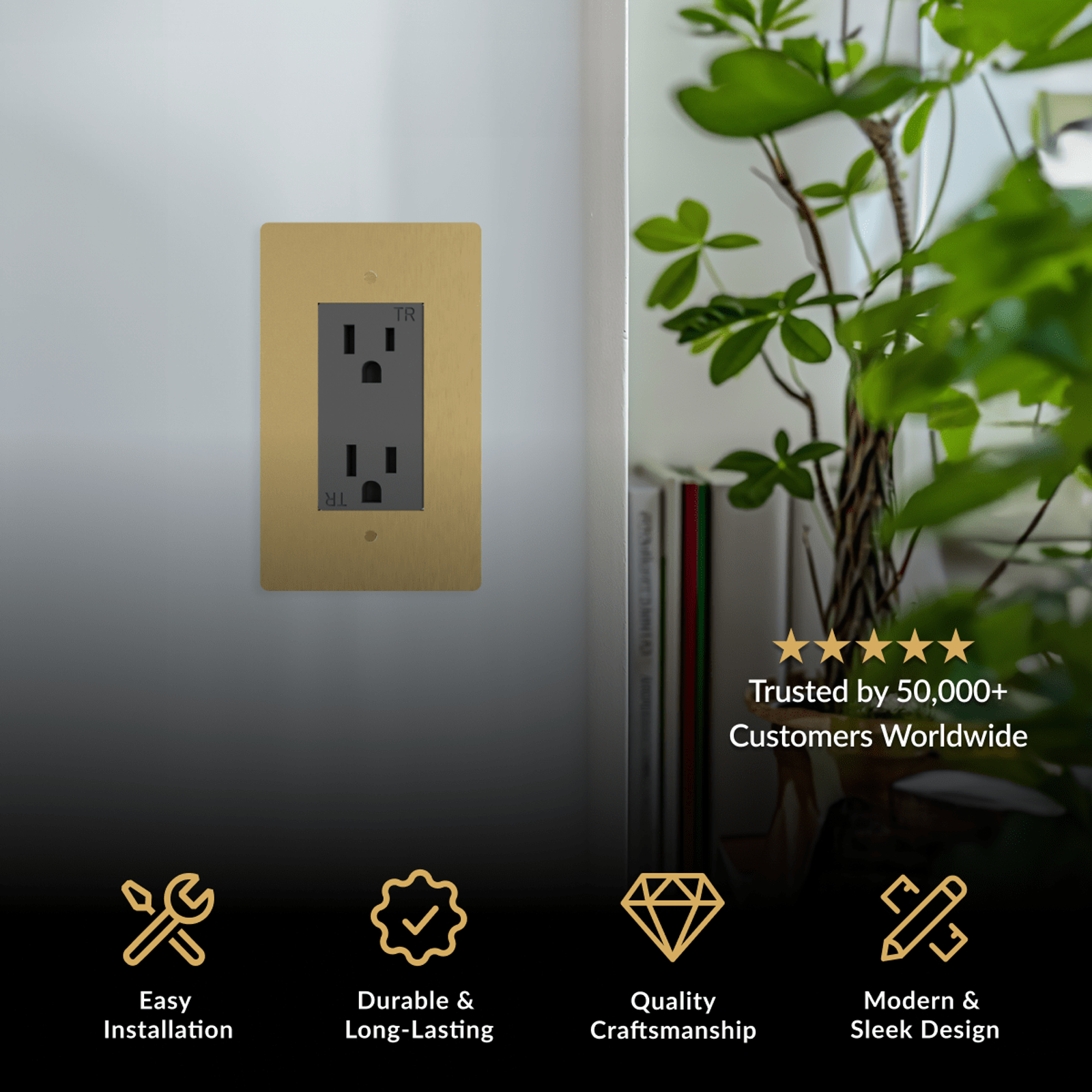 Modern Wall Outlet in brushed gold on a wall, duplex receptacle beside a green potted plant
