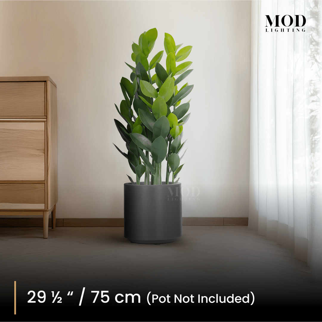 Artificial ZZ Plant | Lifelike Low-Maintenance Dcor - MOD Lighting