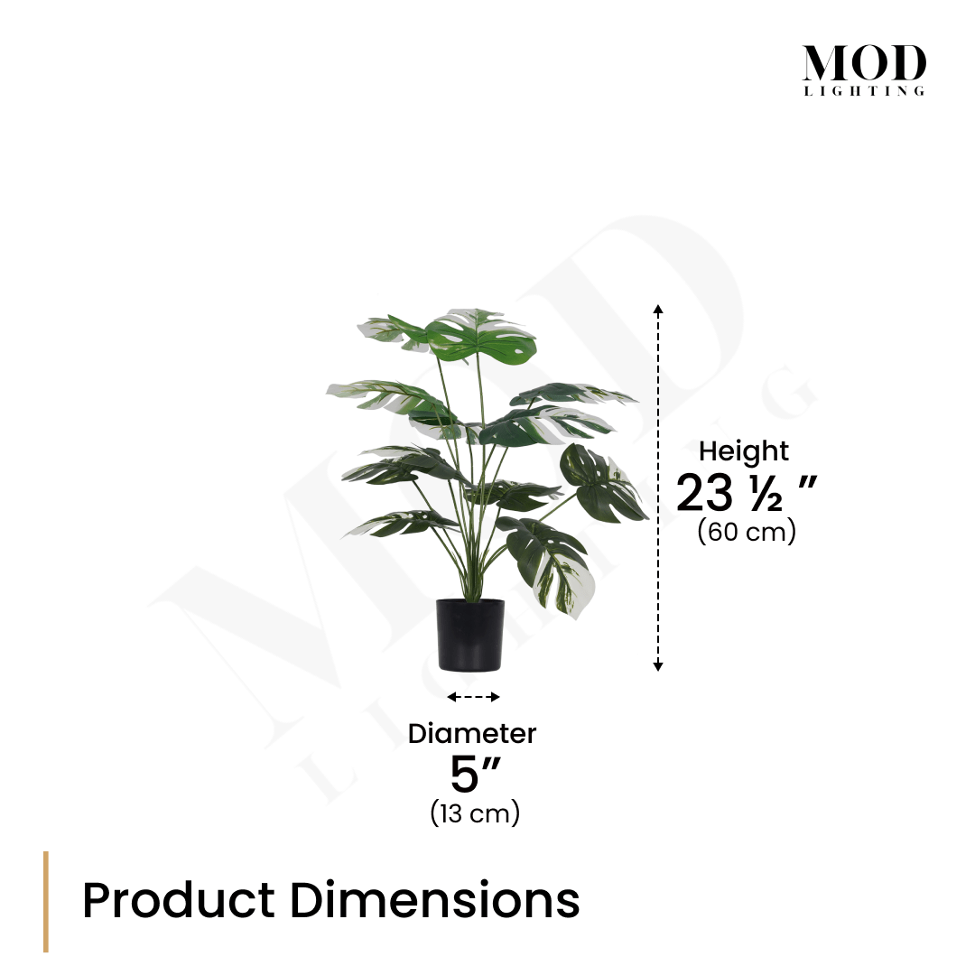 Monstera Albo artificial plant in a black pot, dimension diagram: 23.5 in / 60 cm height, 5 in diameter