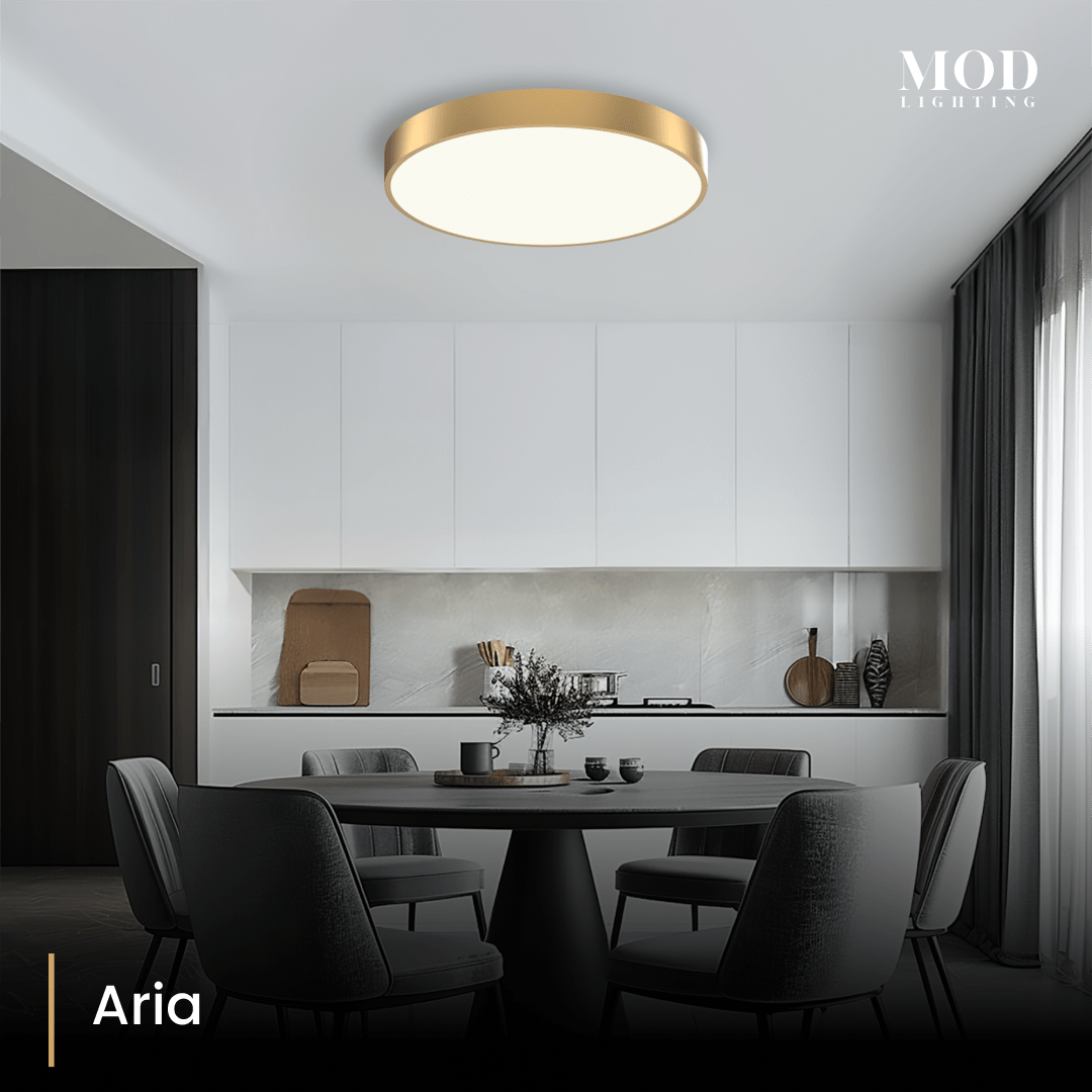aria 2