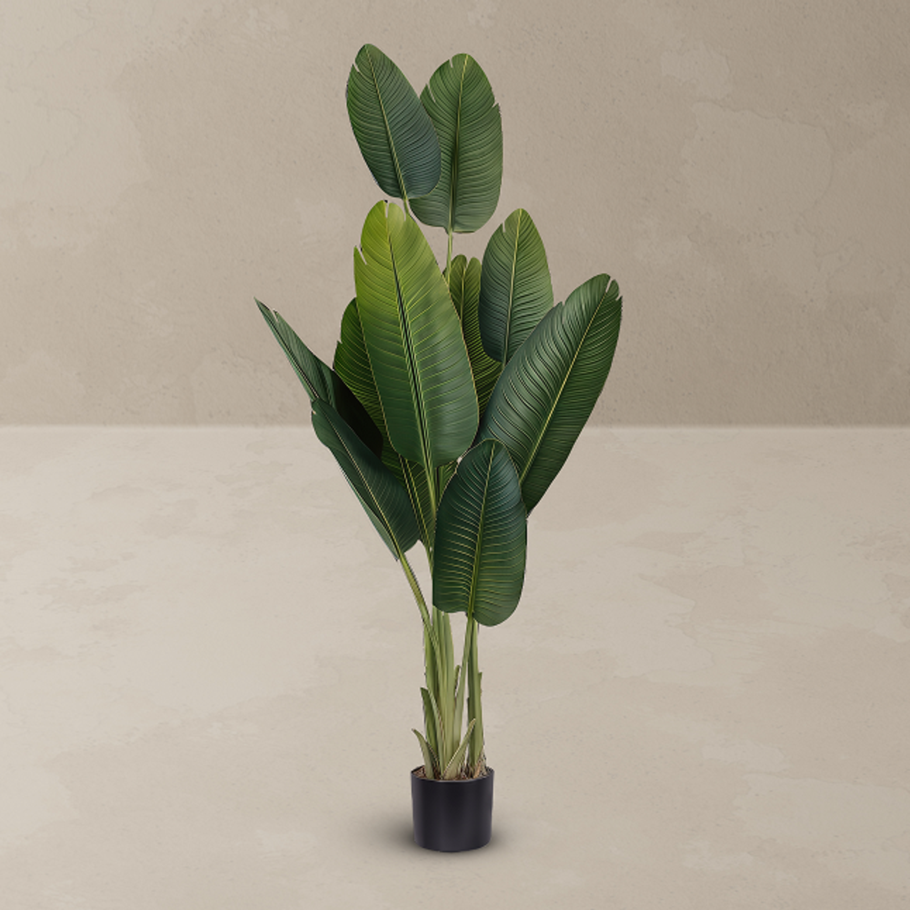 Faux Plants