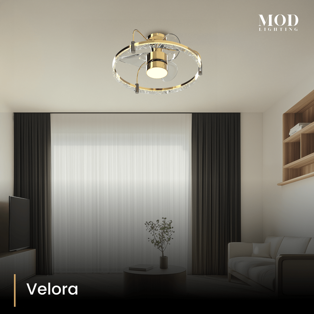 velora 2