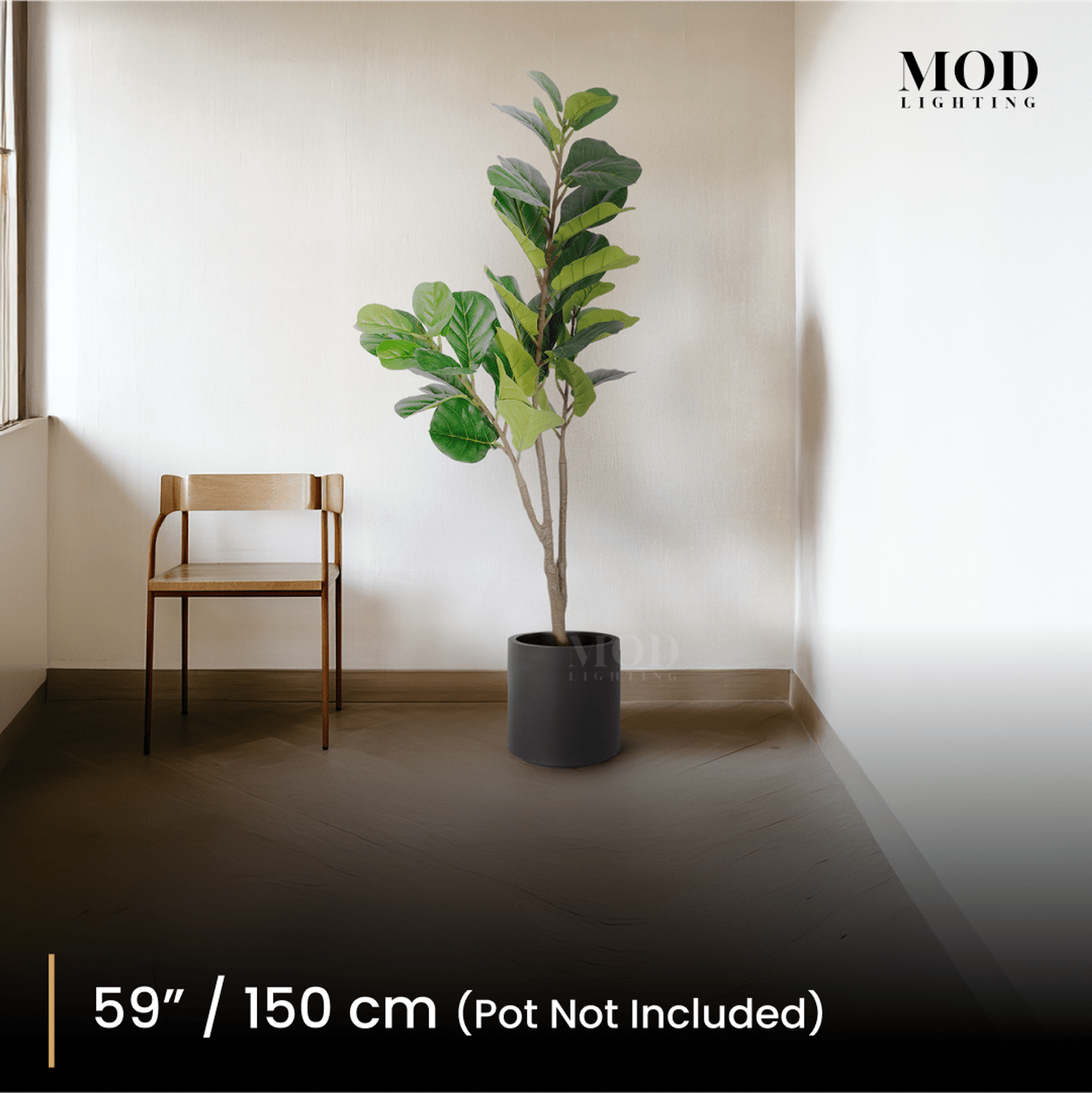 150 cm