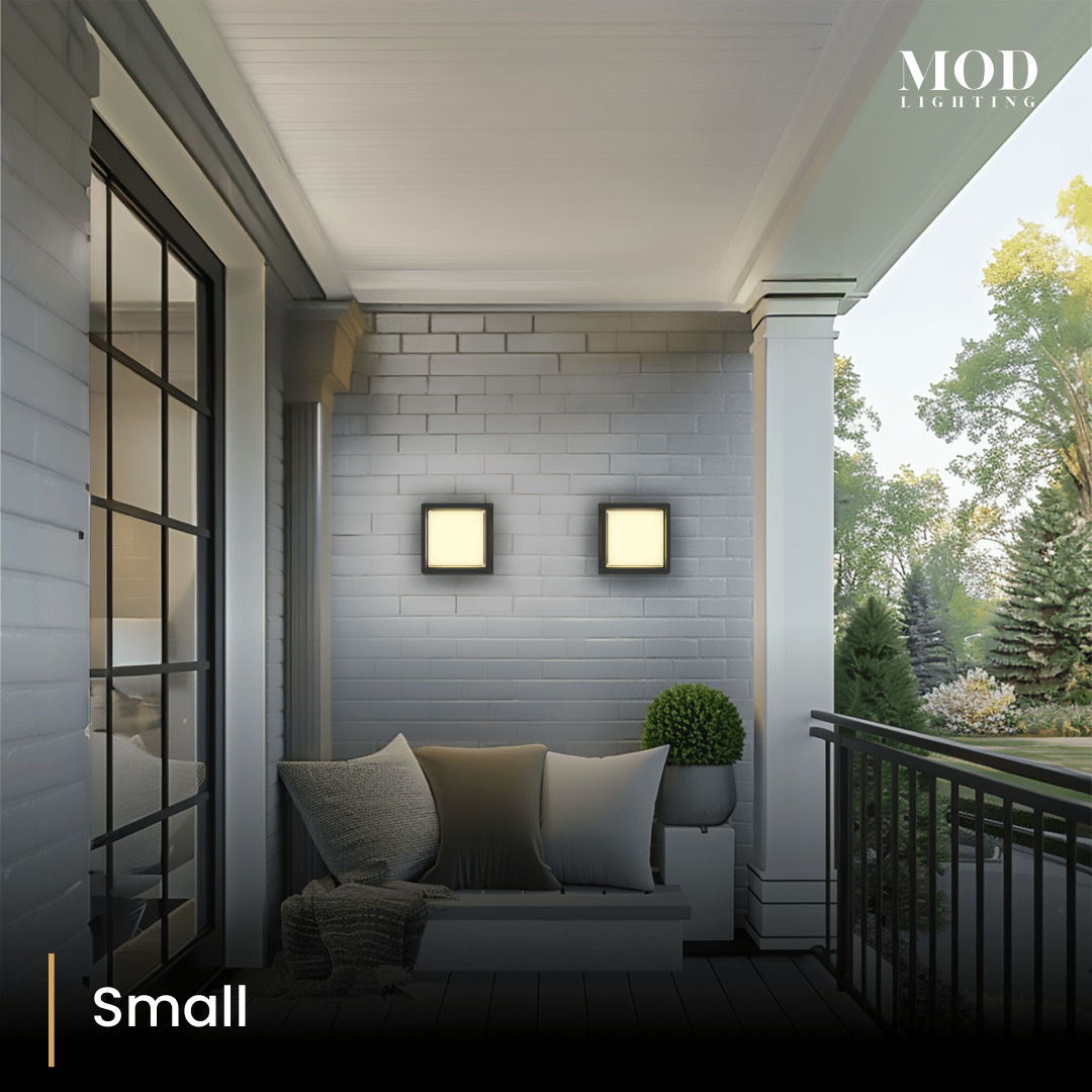 Solen small