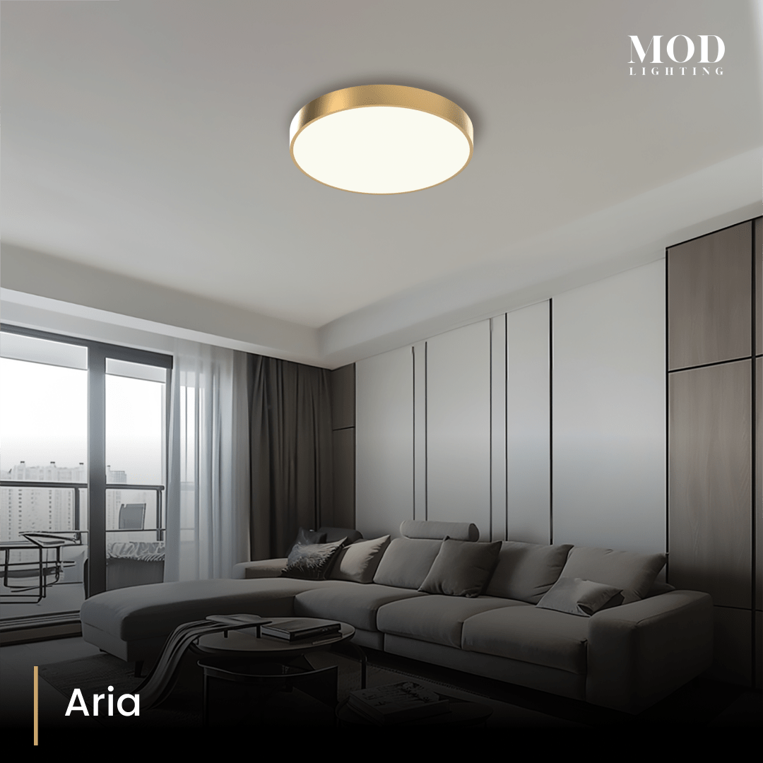 aria 1