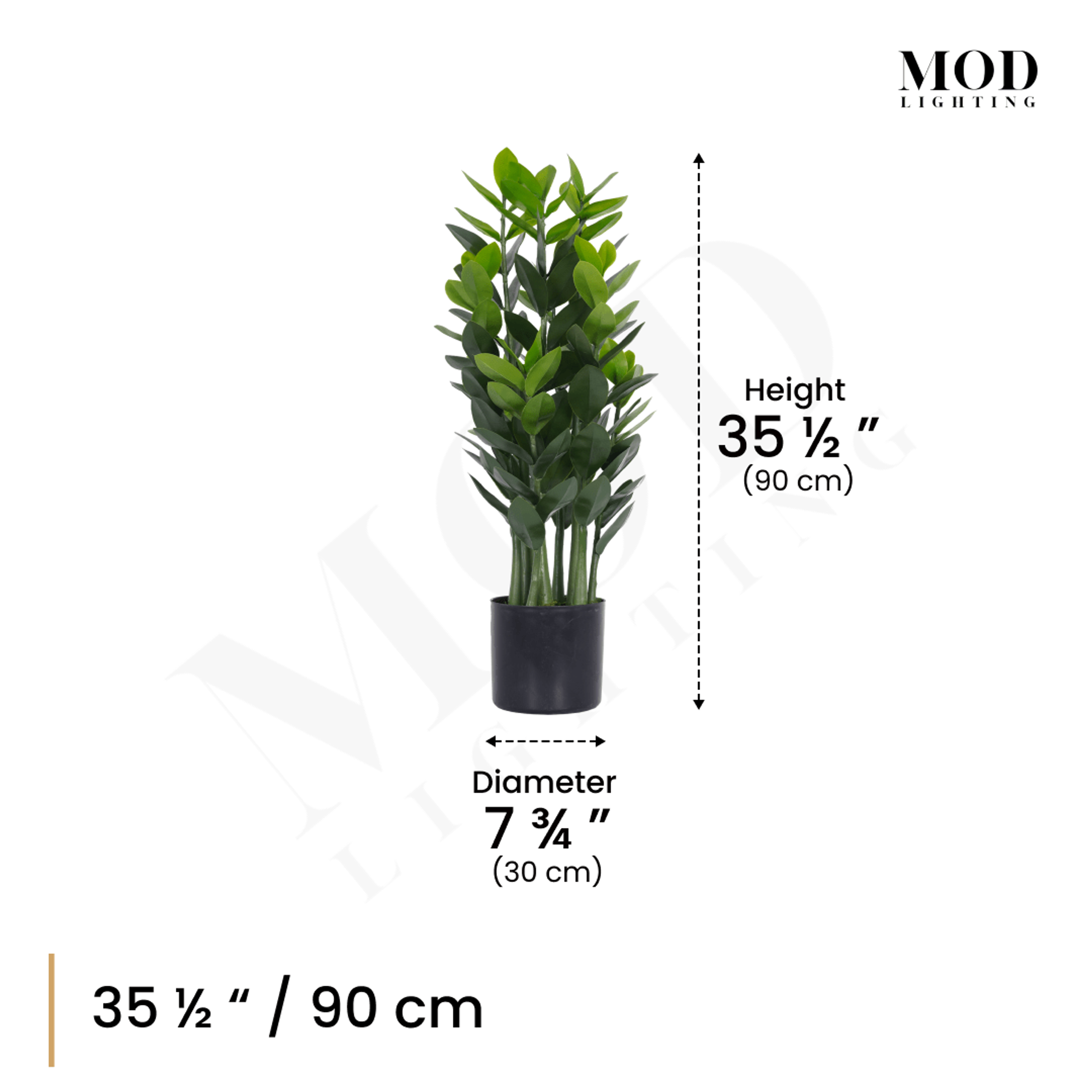 ZZ Plant in a black pot, dimension diagram: 35.5 in / 90 cm tall, 7.75 in / 30 cm pot diameter