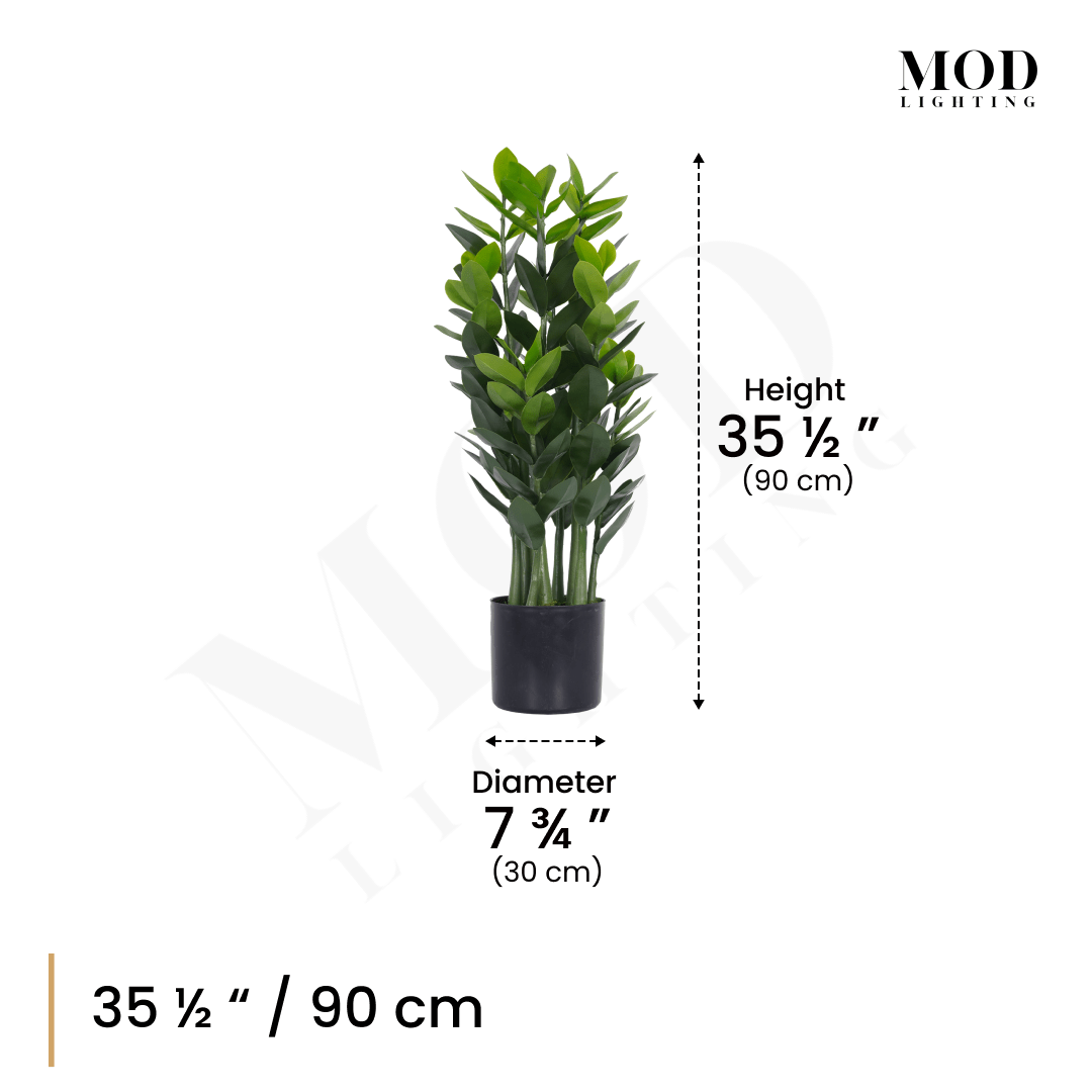 ZZ Plant in a black pot, dimension diagram: 35.5 in / 90 cm tall, 7.75 in / 30 cm pot diameter