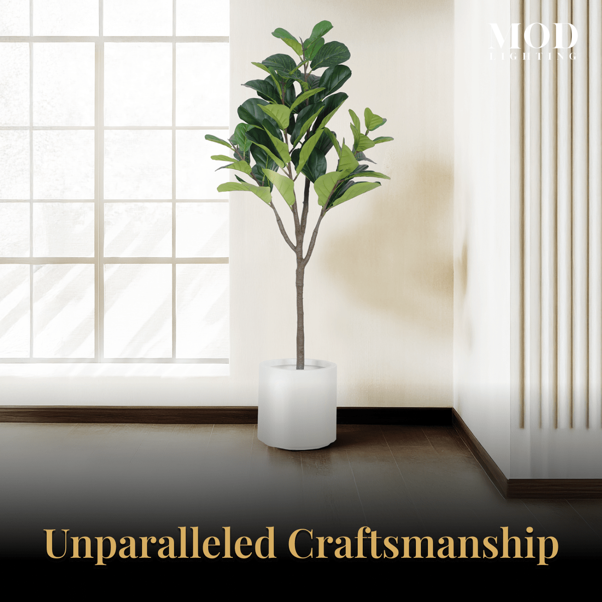 Fiddle Leaf Fig in a white pot beside a sunlit window in a warm, minimal room