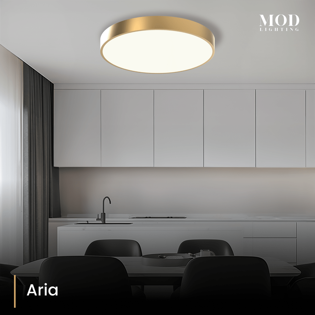 aria 4