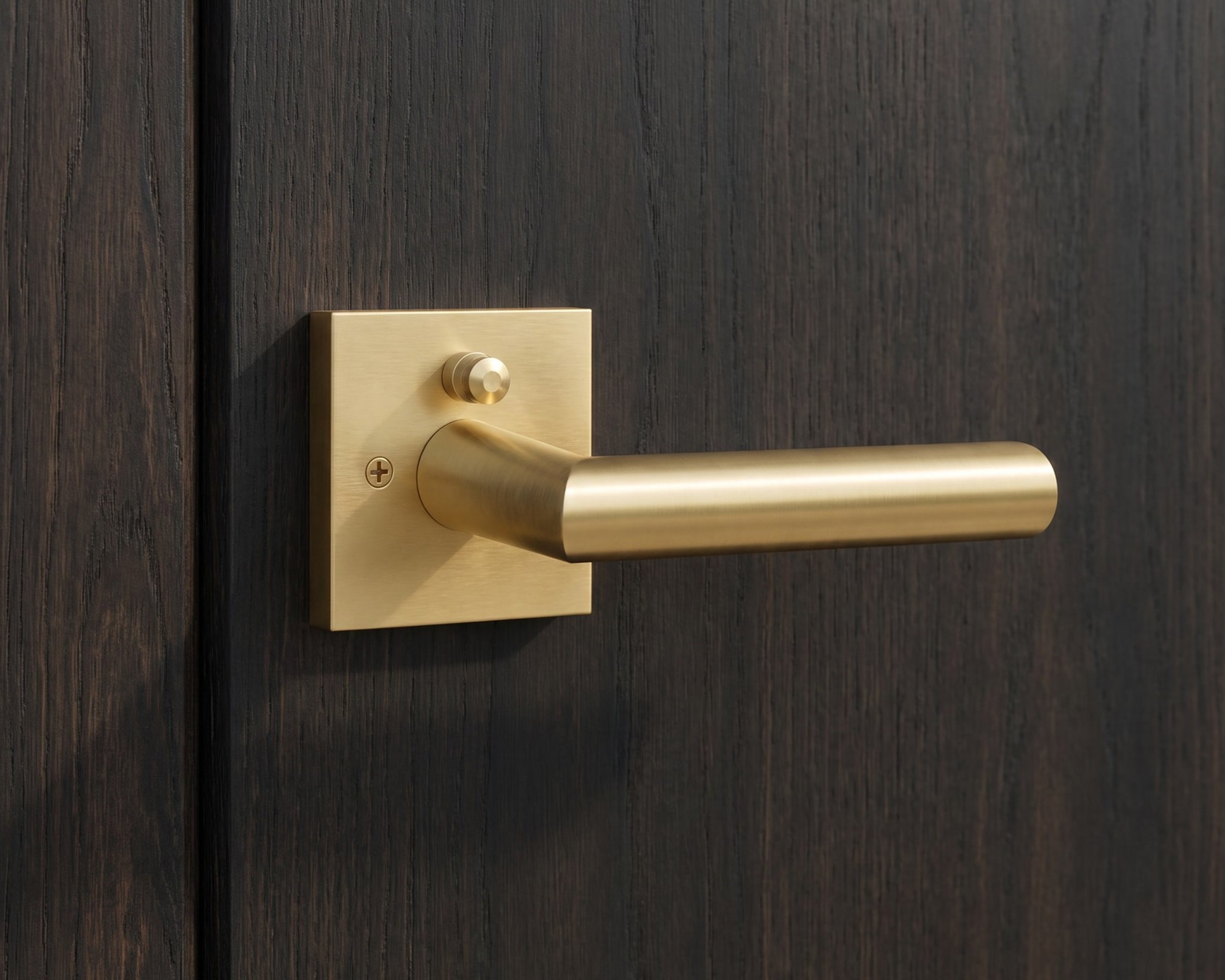 Lennox brass door handle on a dark timber front door