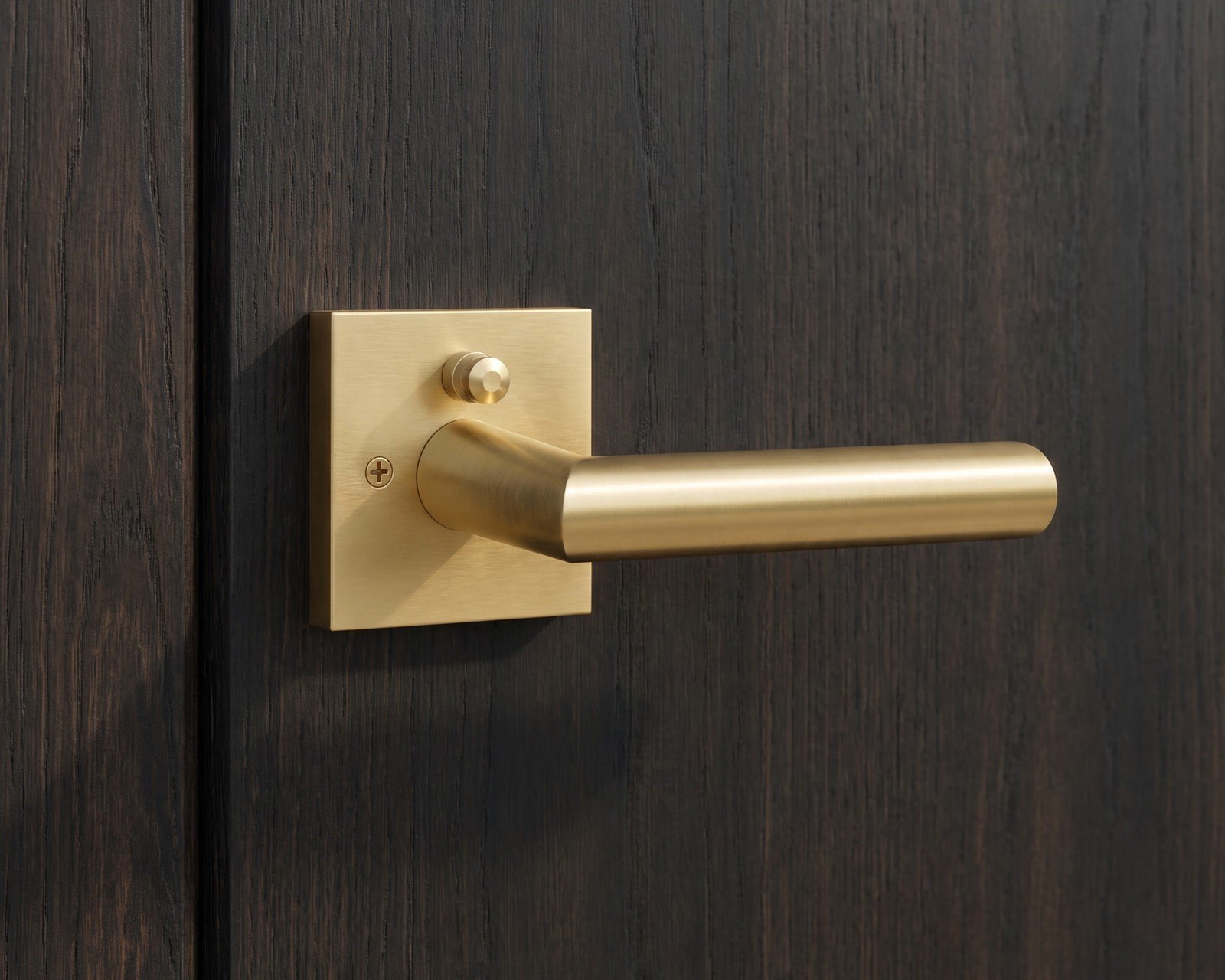 Lennox brass door handle on a dark timber front door