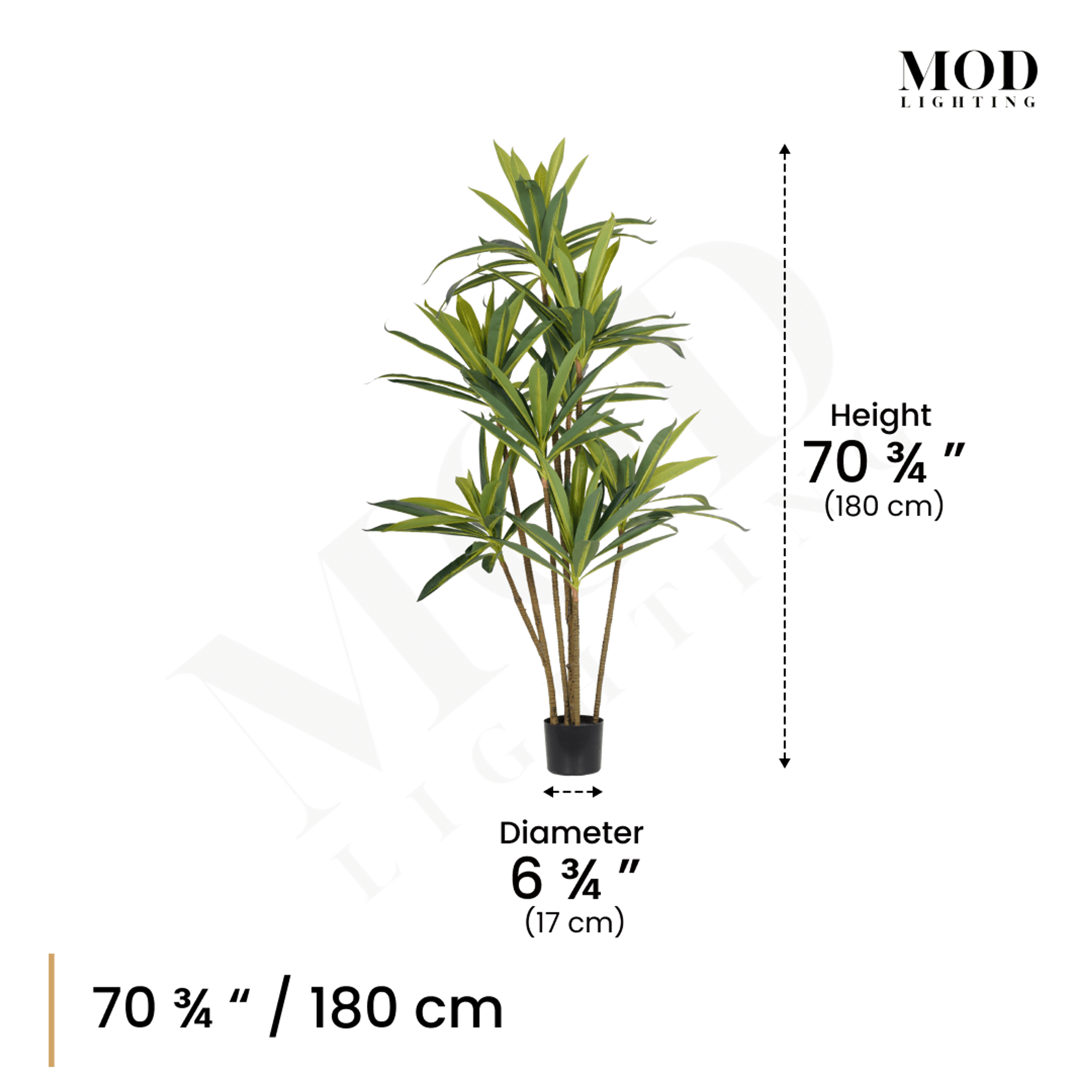 Dracaena artificial plant in a black pot, dimension diagram: 70.75 in / 180 cm height, 6.75 in diameter