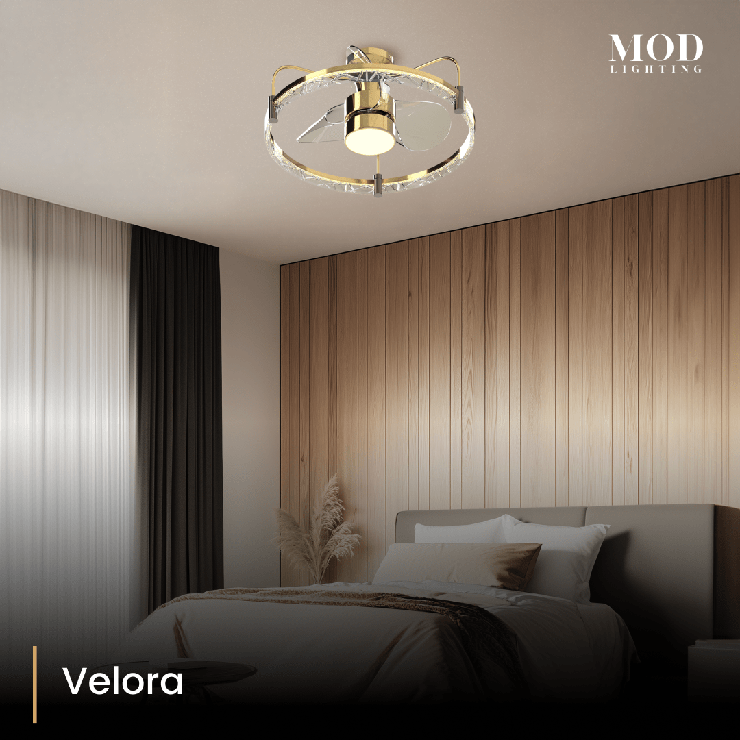 velora 1