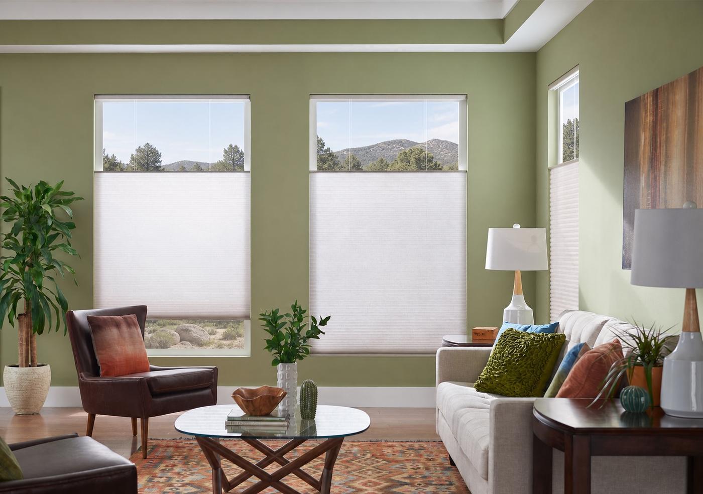 Honeycomb Cellular Shades in Green Room