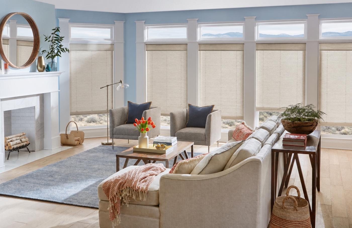 Natural woven shades in living room