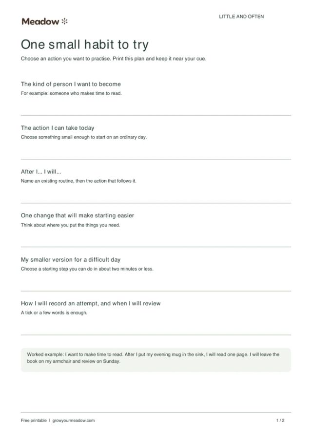 First page of Small-habit experiment