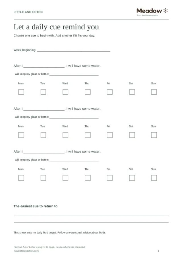 First page of Daily water cue tracker