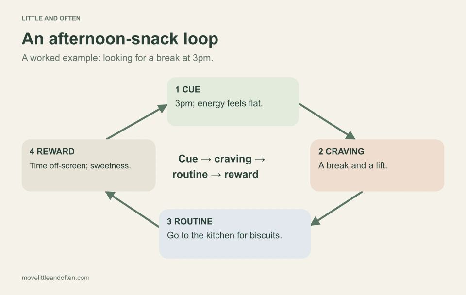 Example afternoon-snack habit loop: cue, 3pm and low energy; craving, a break and a lift; routine, go to the kitchen for biscuits; reward, time away from the screen and sweetness.