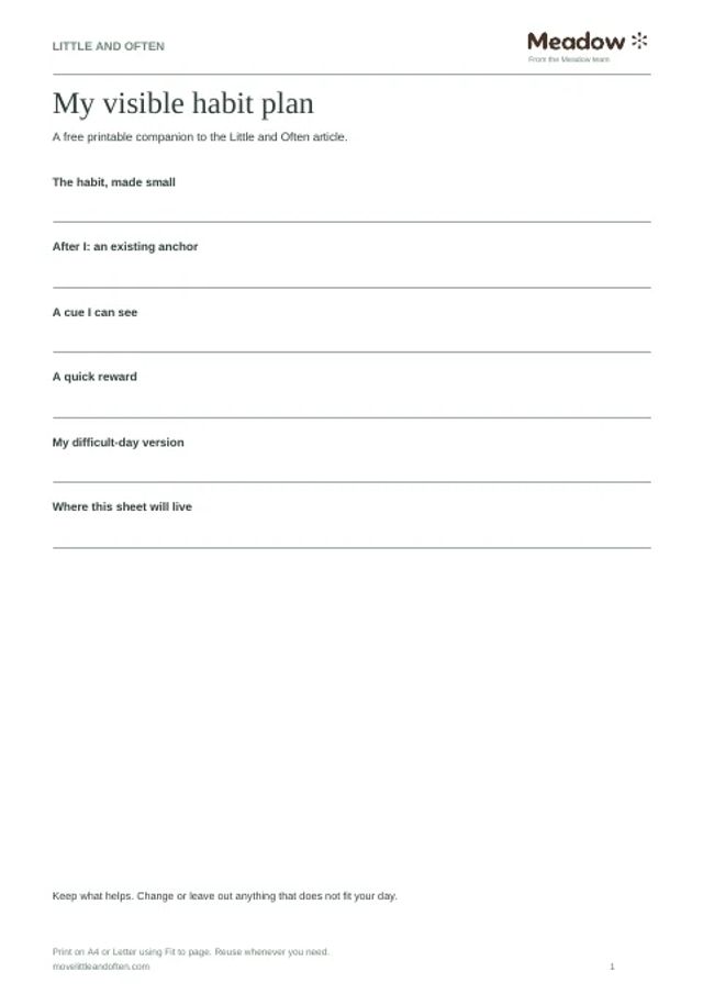 First page of Visible habit planner for ADHD