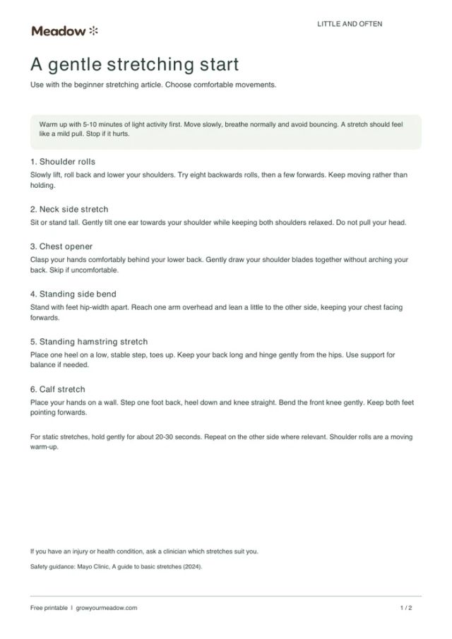 First page of Stretching starter plan