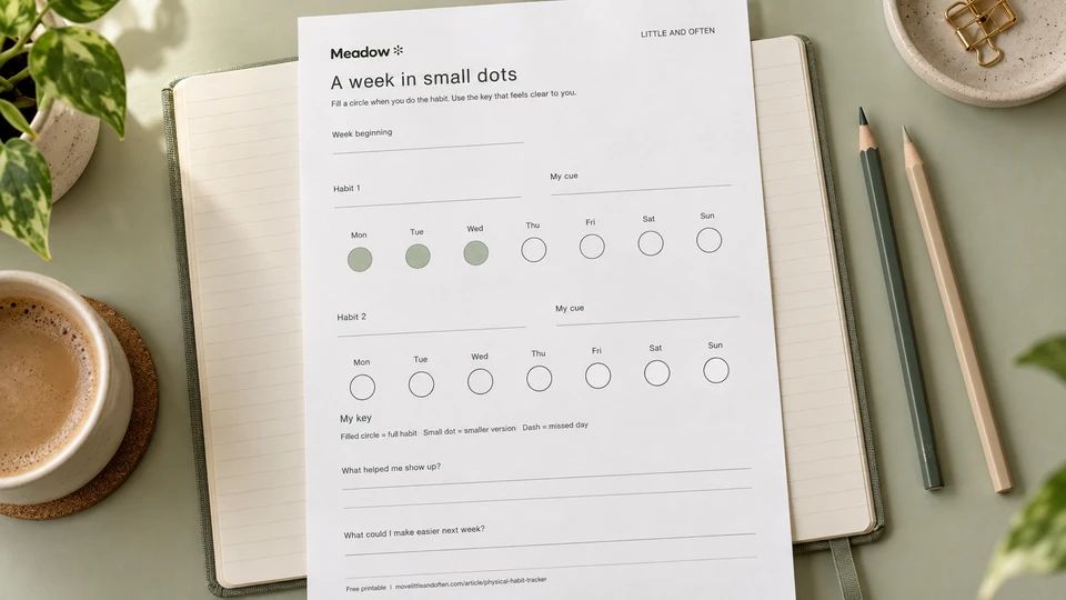 A weekly dot tracker on a notebook, with two rows of seven circles and three filled dots.