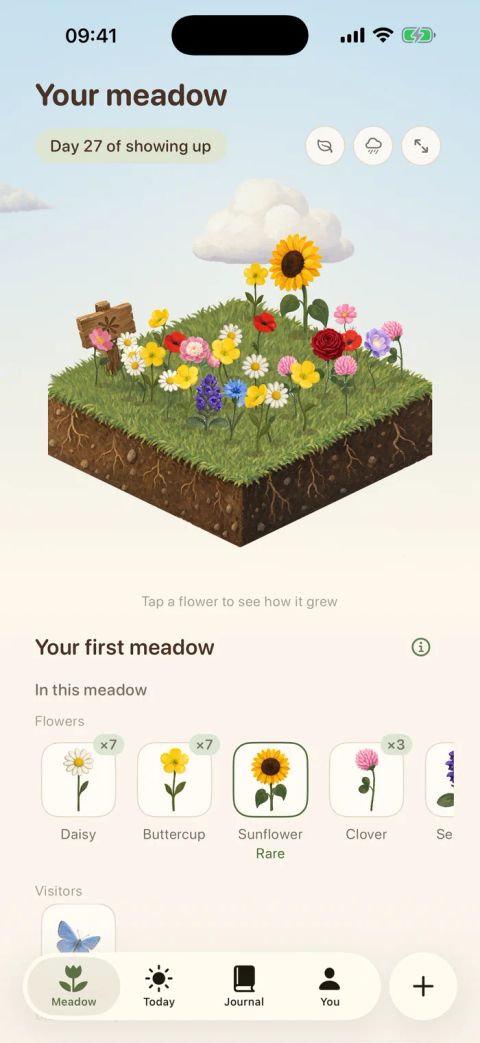The Meadow app on iPhone showing a wildflower meadow on day 27