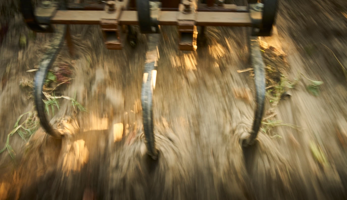 A still from the portfolio CHÂTEAU LAFITE, by photographer Chris Ryan.