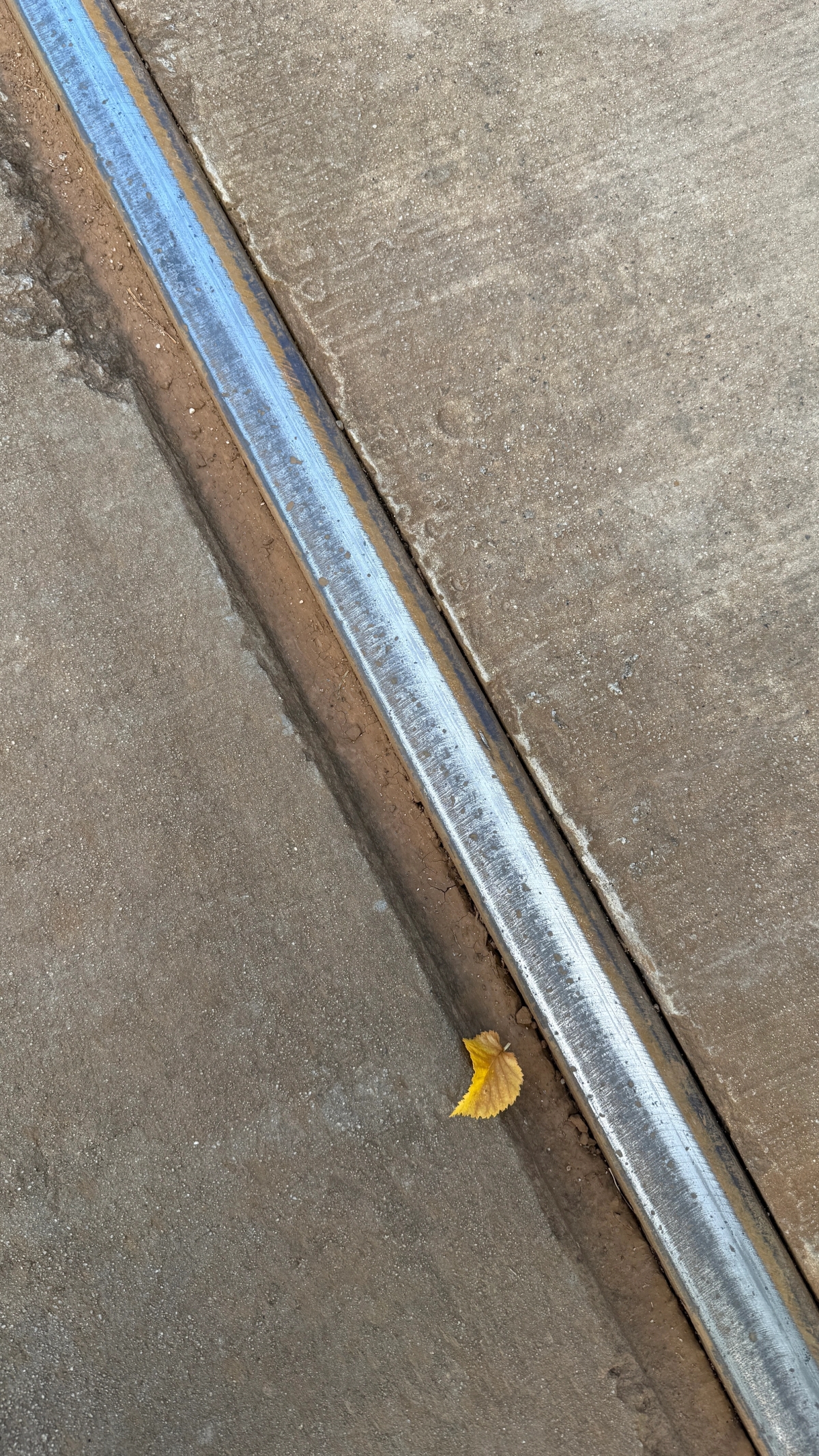 A still from the portfolio LEAVES ON THE LINE, by photographer Chris Ryan.