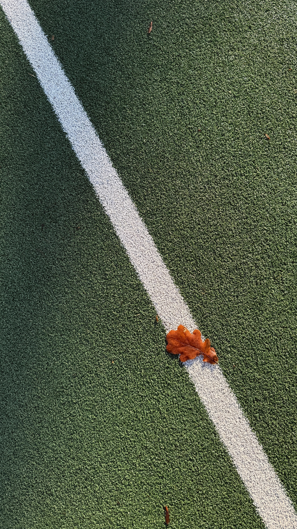 A still from the portfolio LEAVES ON THE LINE, by photographer Chris Ryan.