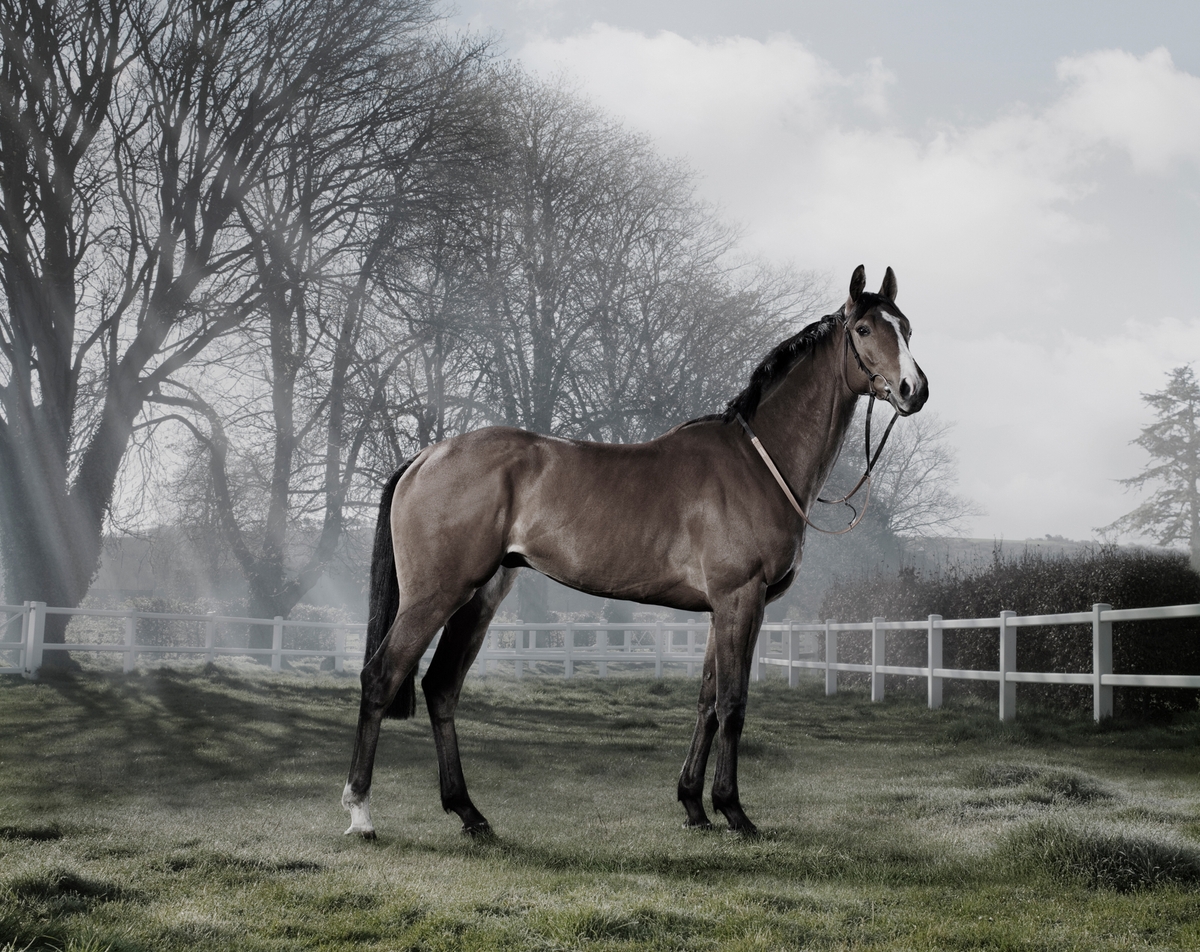 A still from the portfolio DARLEY, by photographer Chris Ryan.