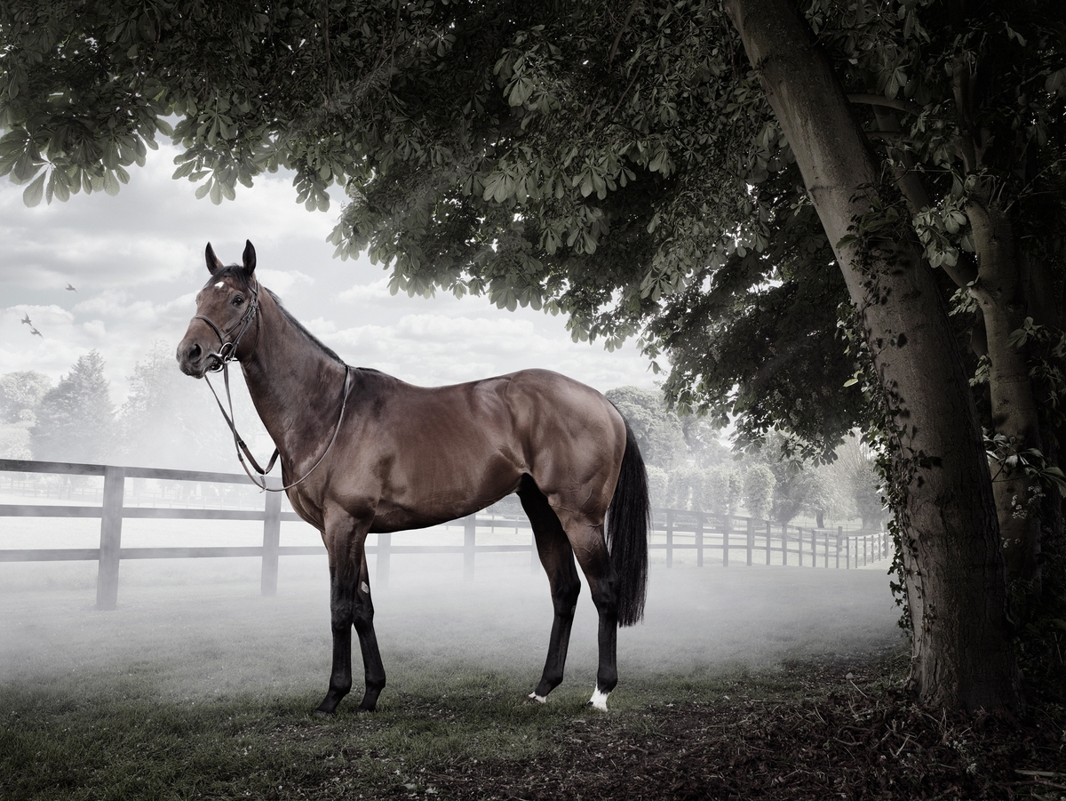 A still from the portfolio DARLEY, by photographer Chris Ryan.