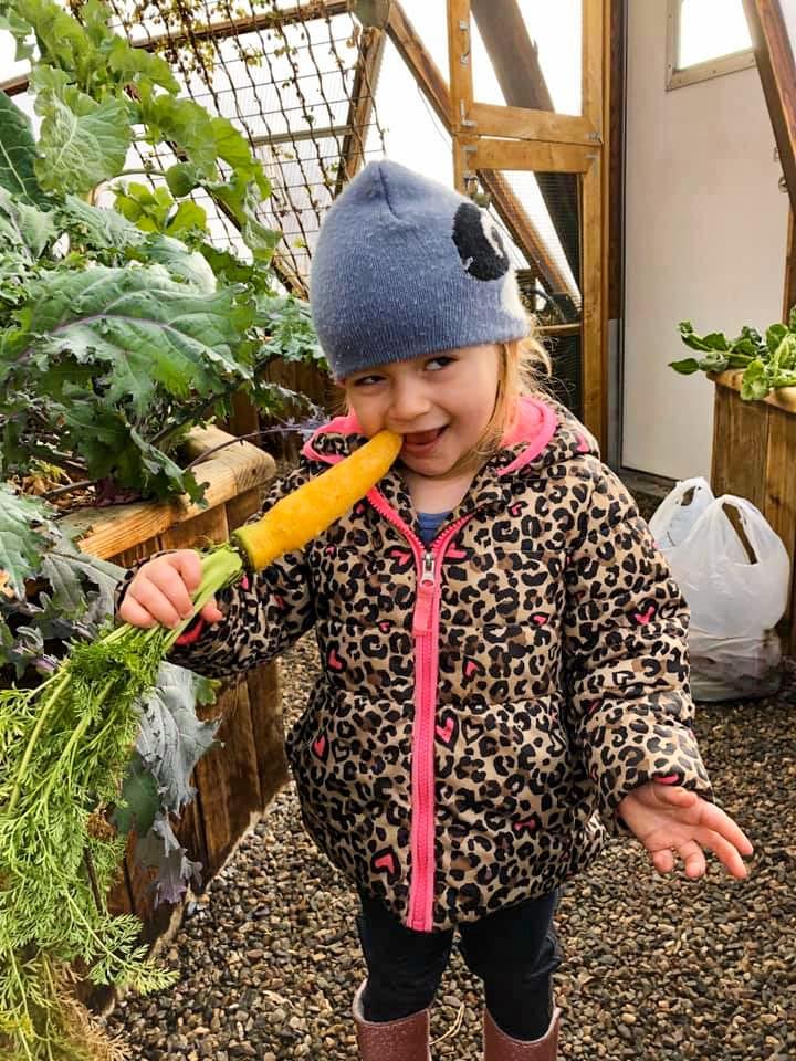 little girl eating a carrot