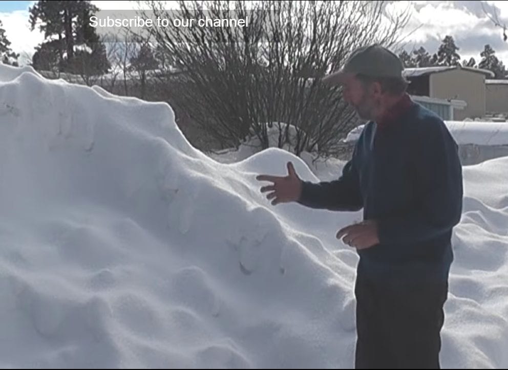 Winter Gardening Snow Accumulation