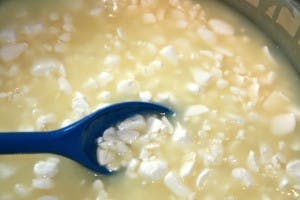 whey for hydrophobic soil