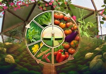 infographic like artwork showing a circle in the middle depicting rotating crops in your Growing Dome
