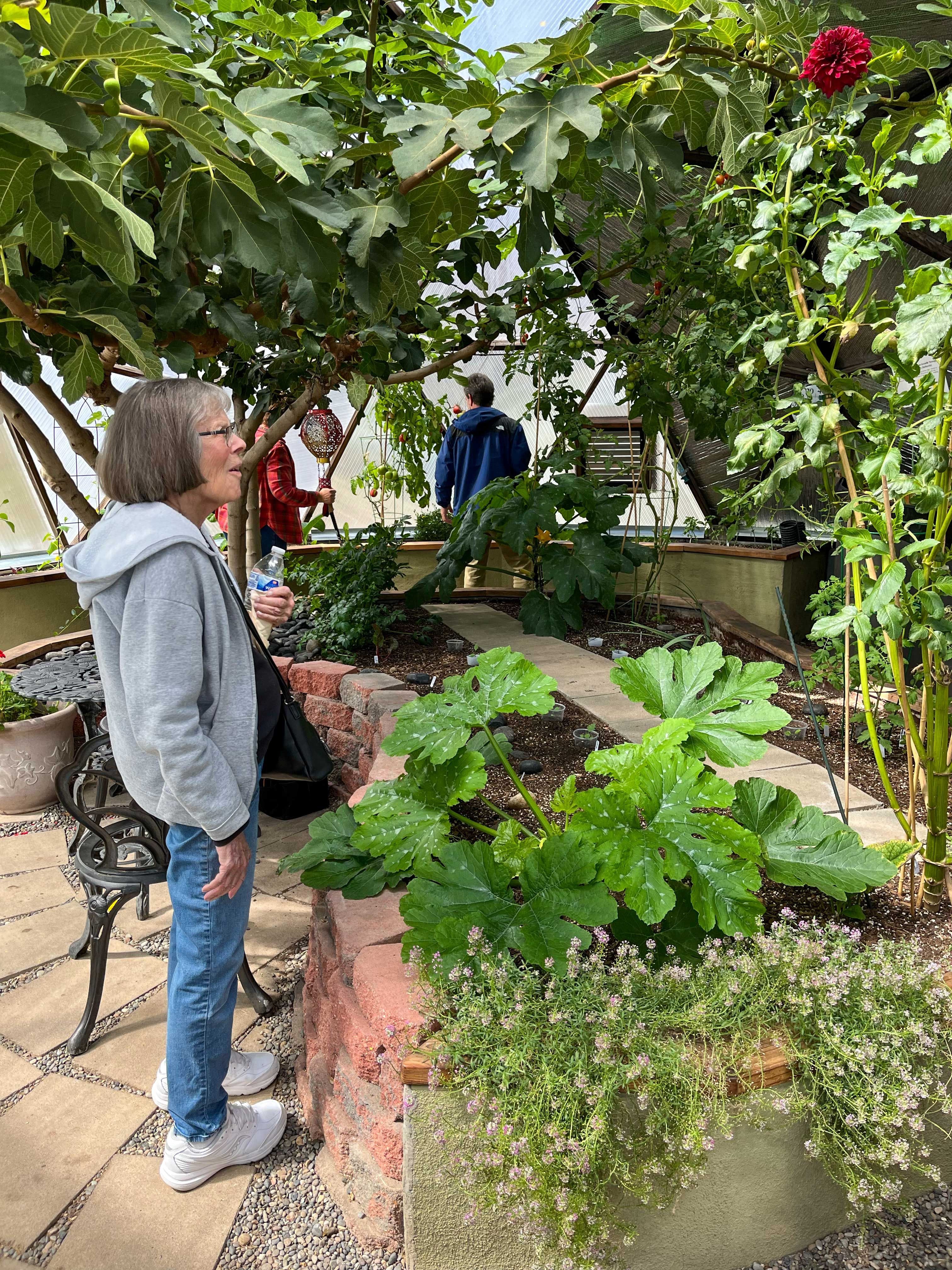 Step Inside a Growing Dome—From Anywhere image