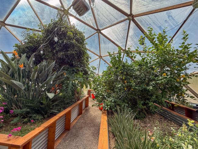 Interior of a dome greenhouse with tropical plants