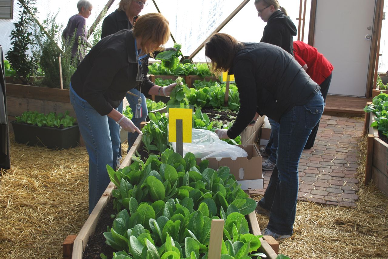 See What’s Possible in a Growing Dome image