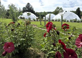 Three Kula Kamala Foundation Growing Dome greenhouses with red hardy hibiscus blooming in the foreground