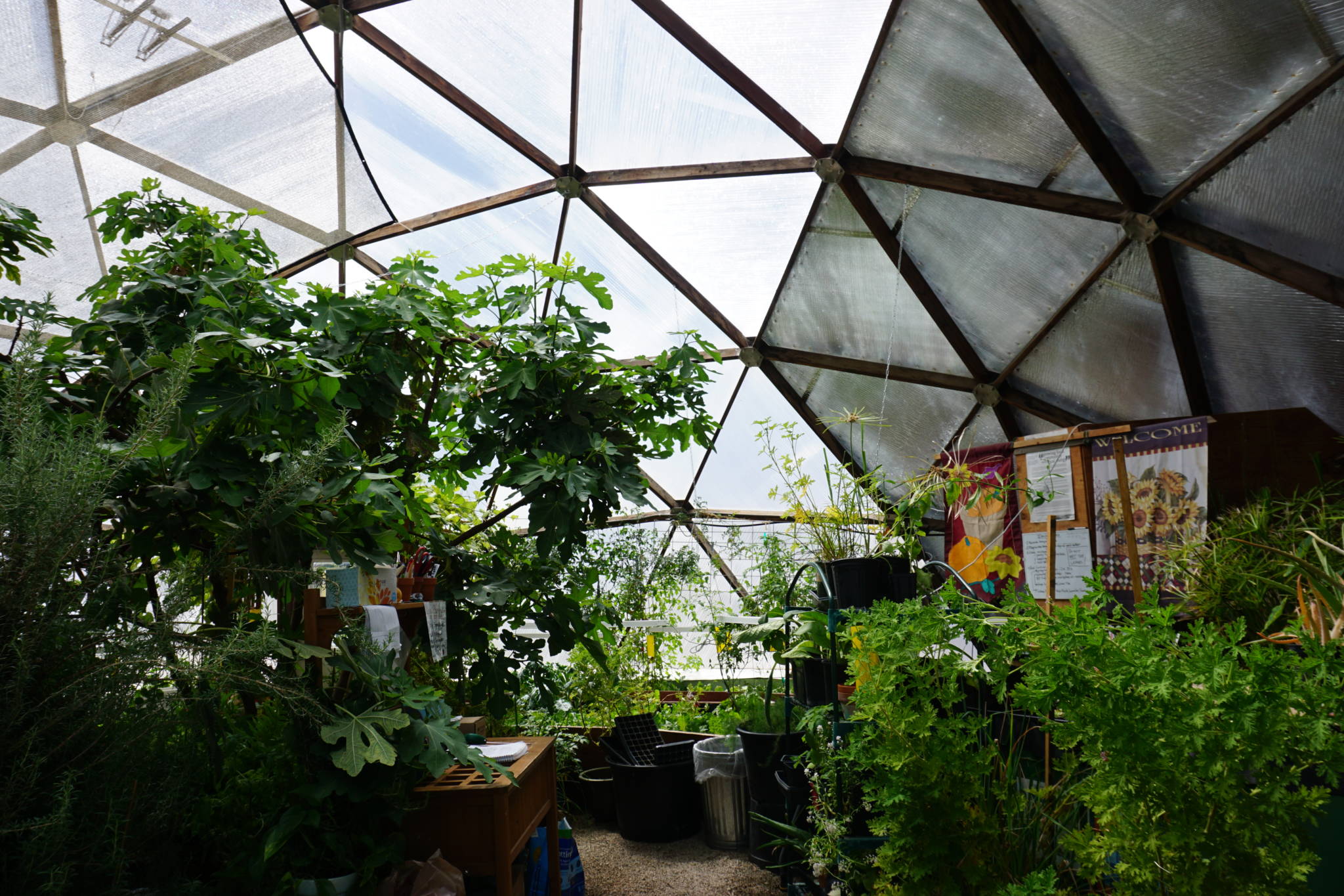 Raised Beds inside the Education Dome at the Geothermal Greenhouse Partnership.