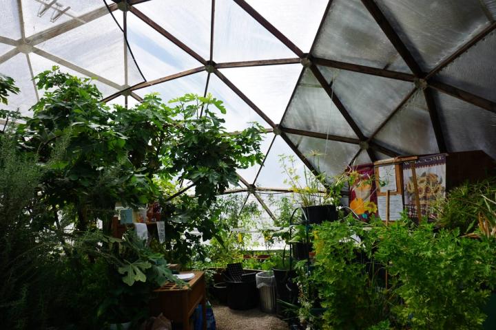 Raised Beds inside the Education Dome at the Geothermal Greenhouse Partnership.