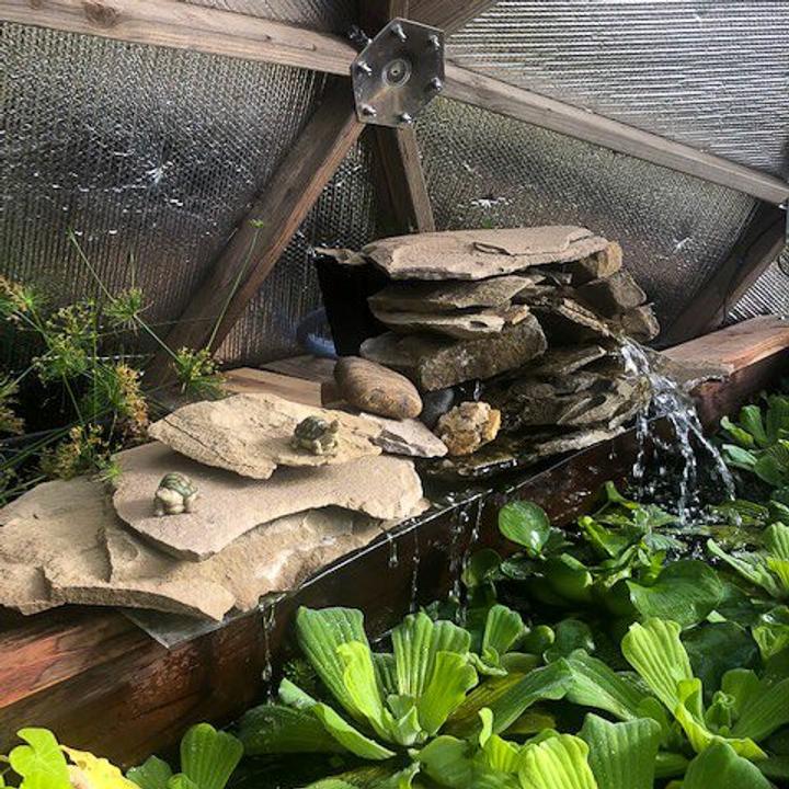 Water feature inside the greenhouse